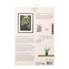 Reeves Scraperfoil Kit- Fluffy Kittens