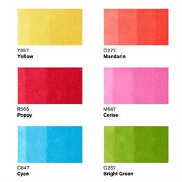 Winsor & Newton Promarker Vibrant Tones Set of 6 – Colour Swatch Chart (Yellow, Mandarin, Poppy, Cerise, Cyan, Bright Green)