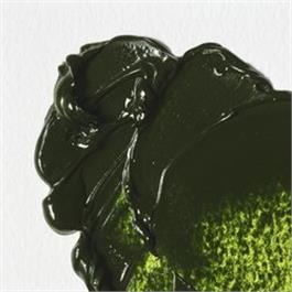 Winsor & Newton Winton Oil Paint Sap Green 200ml thumbnail