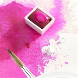 Winsor & Newton Professional Watercolour Half Pan