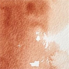 Winsor & Newton Professional Watercolour - 074 Burnt Sienna Half Pan thumbnail