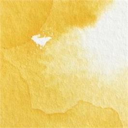 Winsor & Newton Professional Watercolour - 108 Cadmium Yellow Half Pan thumbnail