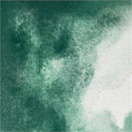 Winsor & Newton Professional Watercolour - 185 Cobalt Green Deep Half Pan thumbnail