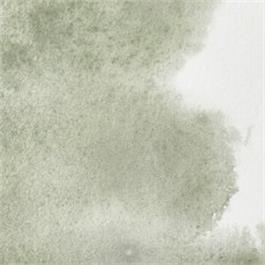 Winsor & Newton Professional Watercolour - 217 Davy's Gray Half Pan thumbnail