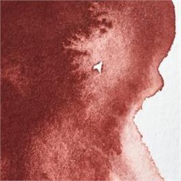 Winsor & Newton Professional Watercolour - 317 Indian Red Half Pan thumbnail