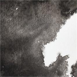 Winsor & Newton Professional Watercolour - 331 Ivory Black Half Pan thumbnail