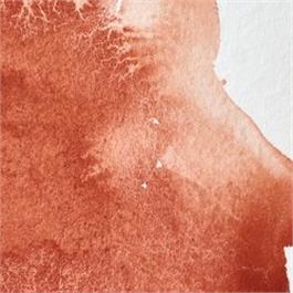 Winsor & Newton Professional Watercolour - 362 Light Red Half Pan thumbnail