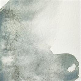 Winsor & Newton Professional Watercolour - 427 Mineral Grey Half Pan thumbnail