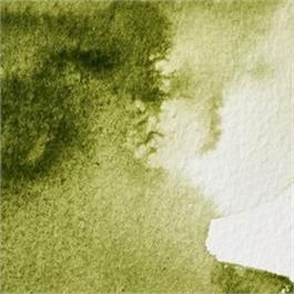 Winsor & Newton Professional Watercolour - 447 Olive Green Half Pan thumbnail