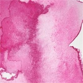 Winsor & Newton Professional Watercolour - 448 Opera Rose Half Pan thumbnail