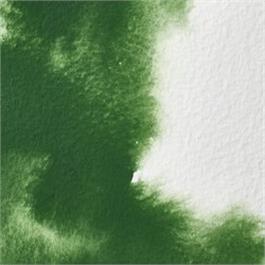 Winsor & Newton Professional Watercolour - 459 Oxide of Chromium Half Pan thumbnail