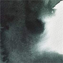 Winsor & Newton Professional Watercolour - 460 Perylene Green Half Pan thumbnail