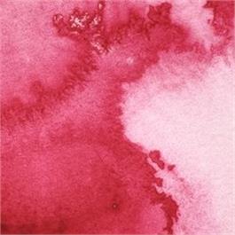 Winsor & Newton Professional Watercolour - 502 Permanent Rose Half Pan thumbnail