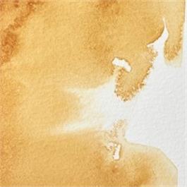 Winsor & Newton Professional Watercolour - 552 Raw Sienna Half Pan thumbnail