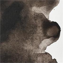 Winsor & Newton Professional Watercolour - 609 Sepia Half Pan thumbnail