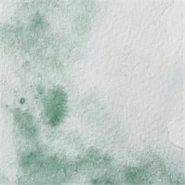 Winsor & Newton Professional Watercolour - 637 Terre Verte Half Pan thumbnail