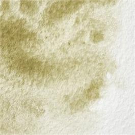 Winsor & Newton Professional Watercolour - 638 Terre Verte Yellow Shade Half Pan thumbnail