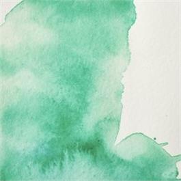 Winsor & Newton Professional Watercolour - 696 Viridian Hue Half Pan thumbnail