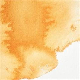 Winsor & Newton Professional Watercolour - 724 Winsor Orange Half Pan thumbnail