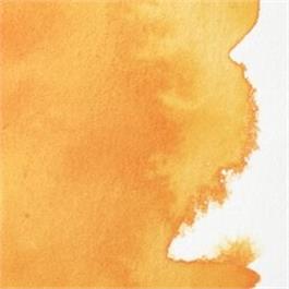 Winsor & Newton Professional Watercolour - 891 Cadmium Free Yellow Deep Half Pan thumbnail