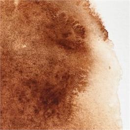 Winsor & Newton Professional Watercolour - 076 Burnt Umber 5ml Tube thumbnail