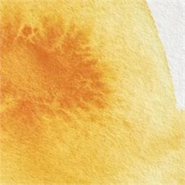 Winsor & Newton Professional Watercolour - 111 Cadmium Yellow Deep 5ml Tube thumbnail