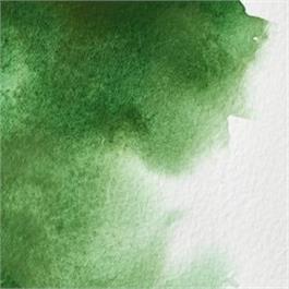 Winsor & Newton Professional Watercolour - 311 Hookers Green 5ml Tube thumbnail