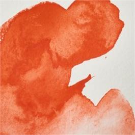 Winsor & Newton Professional Watercolour - 418 Fields Orange 5ml Tube thumbnail