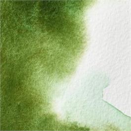 Winsor & Newton Professional Watercolour - 503 Permanent Sap Green 5ml Tube thumbnail