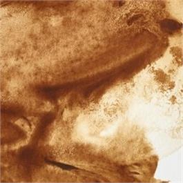 Winsor & Newton Professional Watercolour - 554 Raw Umber 5ml Tube thumbnail