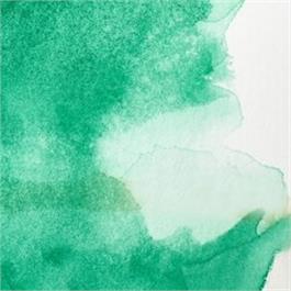 Winsor & Newton Professional Watercolour - 721 Winsor Green (Yellow Shade) 5ml thumbnail