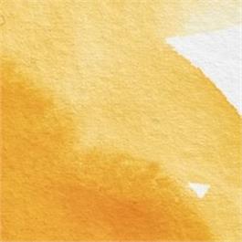 Winsor & Newton Professional Watercolour - 731 Winsor Yellow Deep 5ml Tube thumbnail