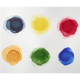 Winsor & Newton Professional Watercolour Foundation Set 6x5ml Swatches