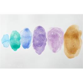 Winsor & Newton Professional Watercolour Granulating Colours Set colours