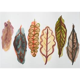 Winsor & Newton Professional Watercolour Rich Earth Colours Set 6 x 5ml Thumbnail Image 5