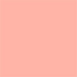 Liquitex Marker 2mm Dusty Rose thumbnail